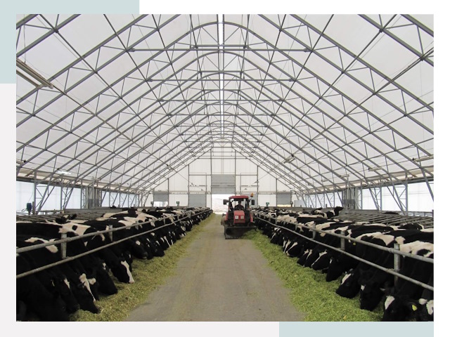 Тентовые коровники в Краснокамске от 608 руб. - Надежно и доступно