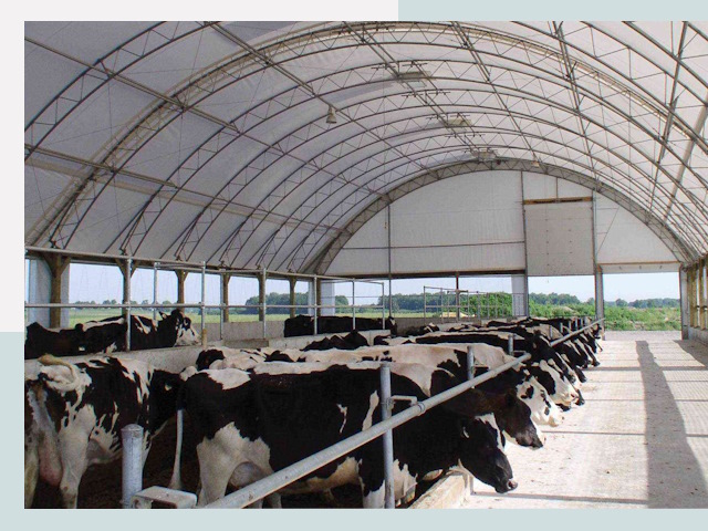 Тентовые коровники в Краснокамске